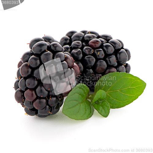 Image of Blackberries with leaves