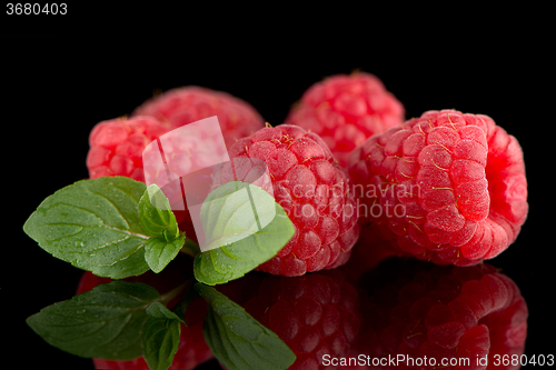 Image of Raspberries with leaves