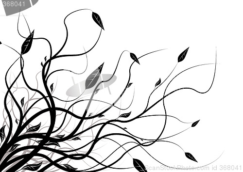 Image of floral silhouette