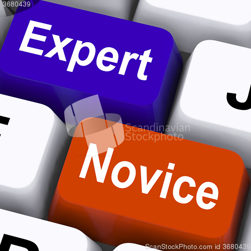 Image of Expert Novice Keys Show Beginners And Experts