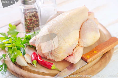 Image of chicken