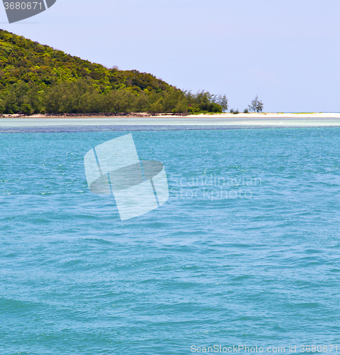 Image of  south  kho phangan  bay  coastline   lagoon and tree 