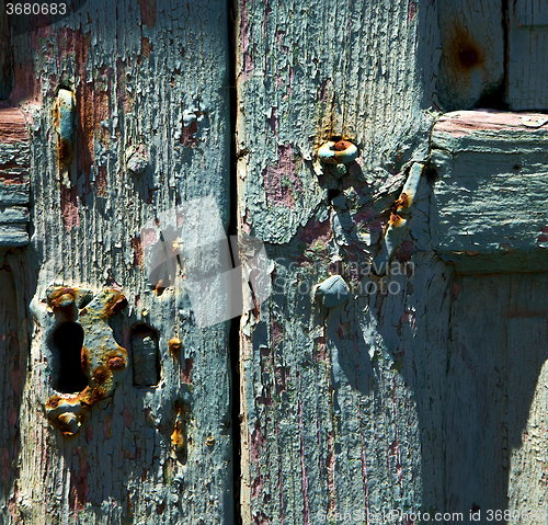 Image of spain canarias brass in a green  wood  abstract 