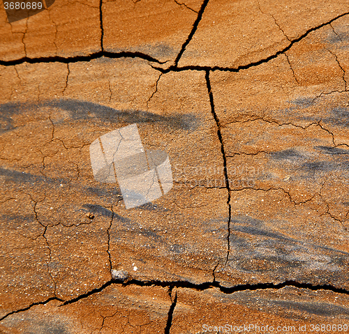 Image of  spain abstract texture of a broke dry sand and lichens 