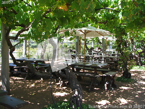 Image of grapes' shelter