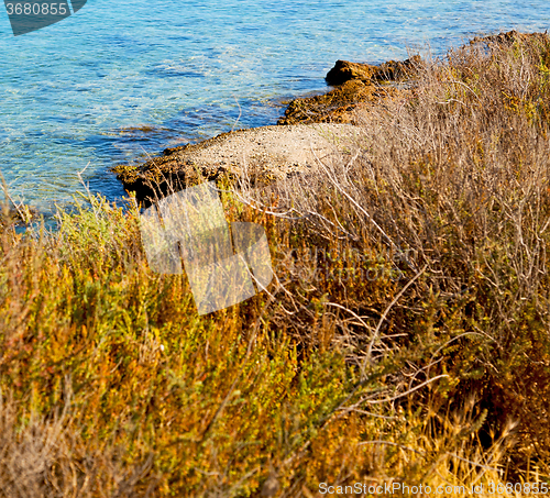 Image of flow foam and froth in the sea    of mediterranean greece