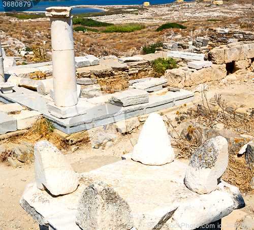 Image of bush   in delos greece the historycal acropolis and old ruin sit