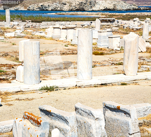 Image of bush   in delos greece the historycal acropolis and old ruin sit