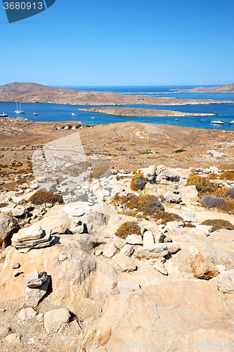 Image of bush   in delos greece the   acropolis  site