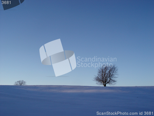 Image of blue winter mood