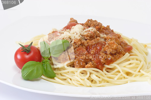 Image of Bolognese 2