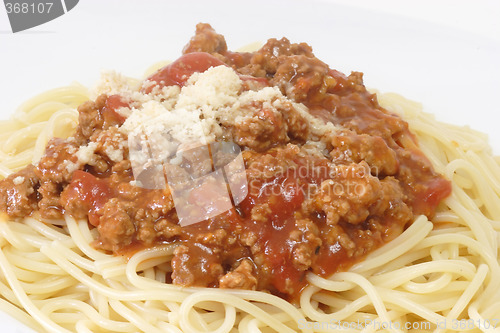 Image of Bolognese 3