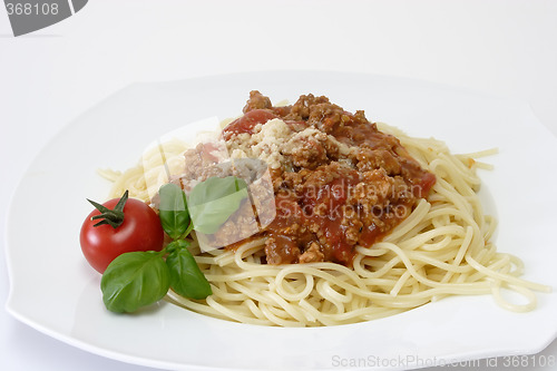 Image of Bolognese 4