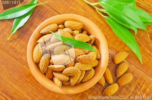 Image of almond