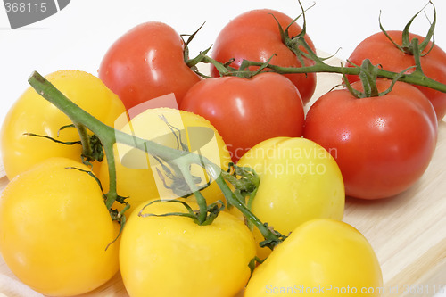 Image of Healthy Tomatoes