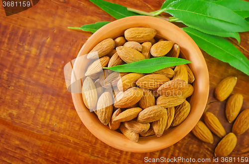 Image of almond