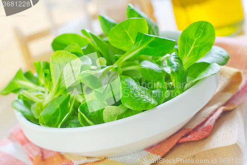 Image of salad