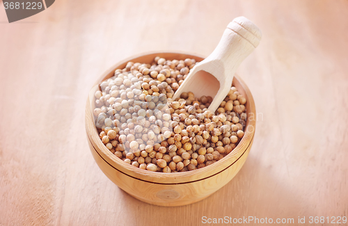 Image of coriander