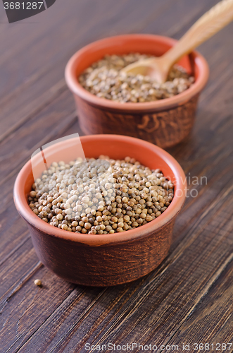 Image of coriander