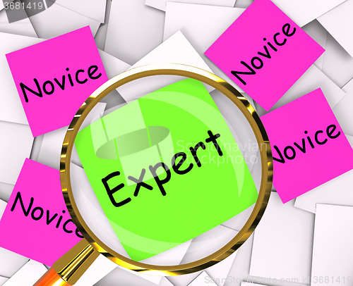 Image of Expert Novice Post-It Papers Mean Experienced Or Inexperienced