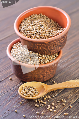 Image of coriander