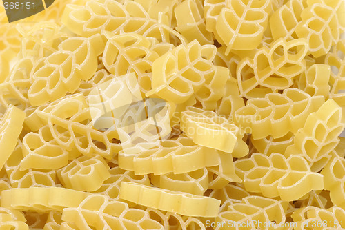 Image of Noodles in Detail