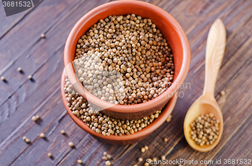 Image of coriander