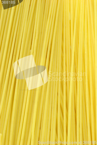 Image of Spaghetti