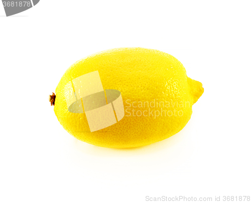 Image of tasty vegetable lemon  