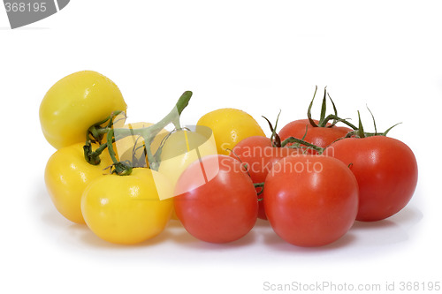 Image of Tomatoes