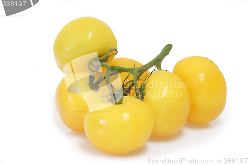 Image of Yellow Tomatoes