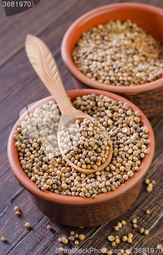 Image of coriander