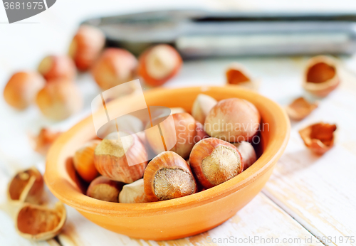 Image of hazelnuts