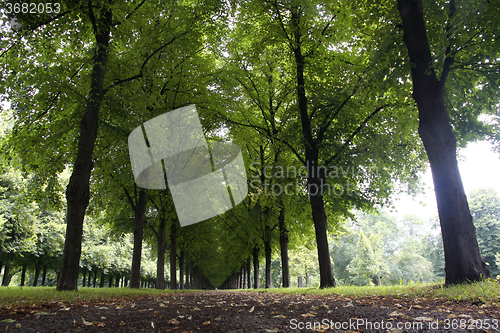 Image of Autumn landscape, Herrenhauser Allee in Hannover, Germany