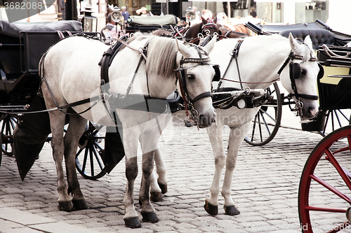 Image of Horse-driven carriage at Hofburg palace, Vienna, Austria