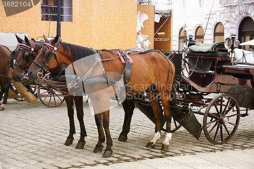 Image of Horse-driven carriage at Hofburg palace, Vienna, Austria