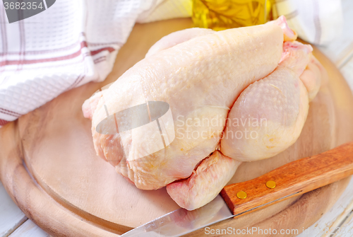 Image of chicken