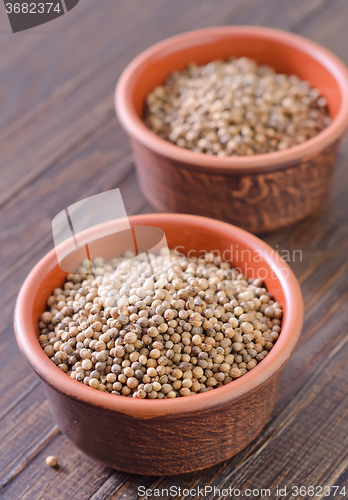 Image of coriander