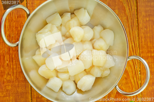 Image of scallop