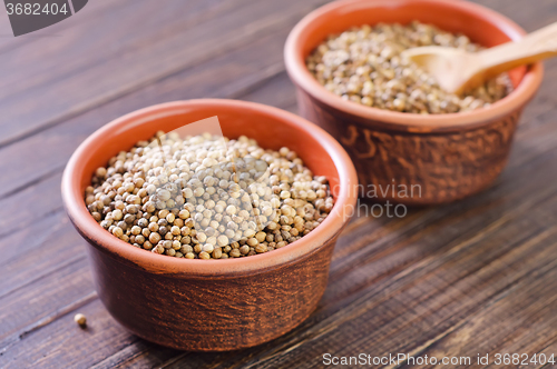 Image of coriander