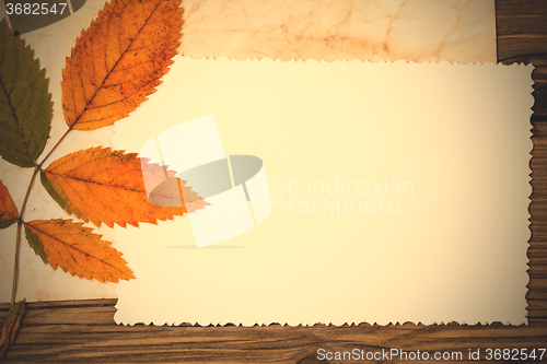 Image of blank old photo and autumn leaves