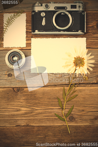 Image of lens, retro camera and pressed plant