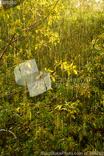 Image of Rain and sun