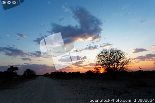 Image of African sunset with tree in front