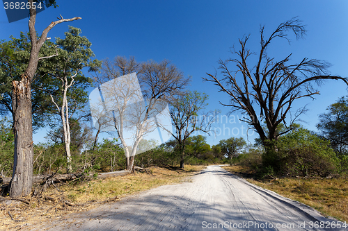 Image of gravel road to Okavango delta Moremi park