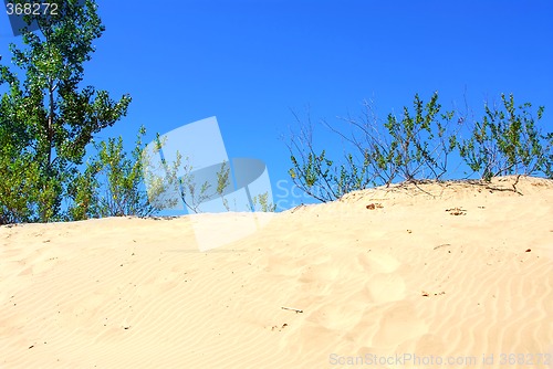 Image of Sand dunes