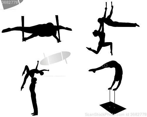 Image of aerialists