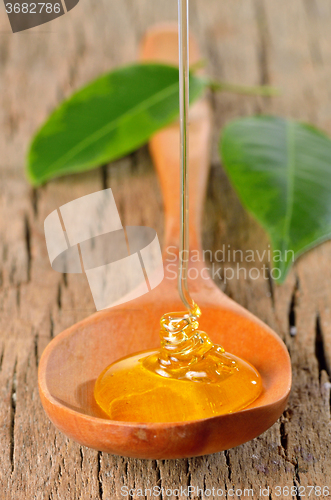 Image of honey pouring