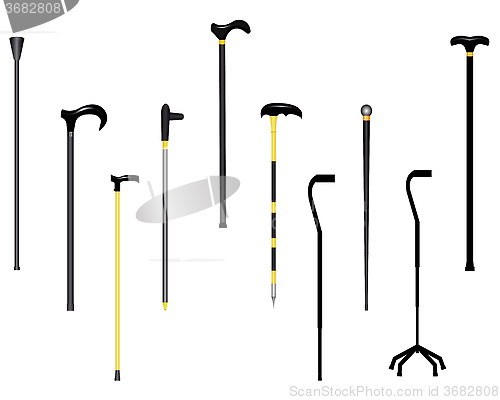 Image of different canes