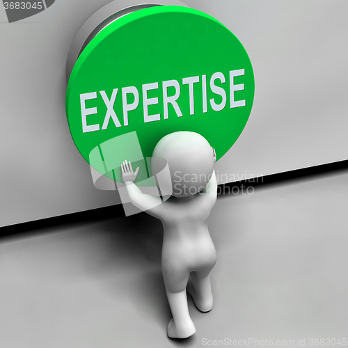 Image of Expertise Button Means Skilled Specialist And Proficiency